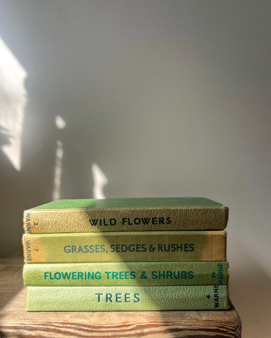 Observer Book Bundle (Option 1)