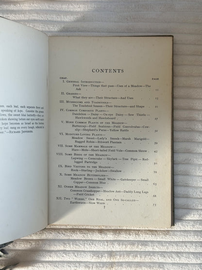 Antique The Meadow I Know (1909) - Edwardian Nature Study Book with Coloured Plates