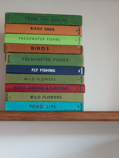 ‘Build Your Own’ Vintage Observer's Pocket Book Bundle