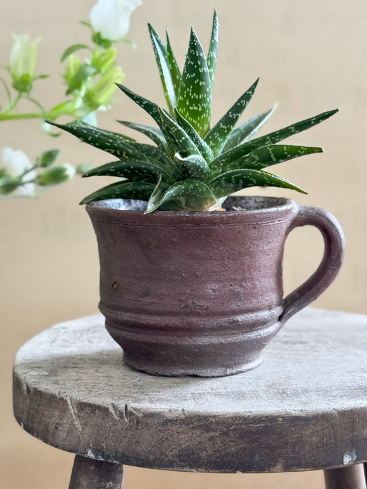 Antique French Brown Textured Stoneware Confit Pot