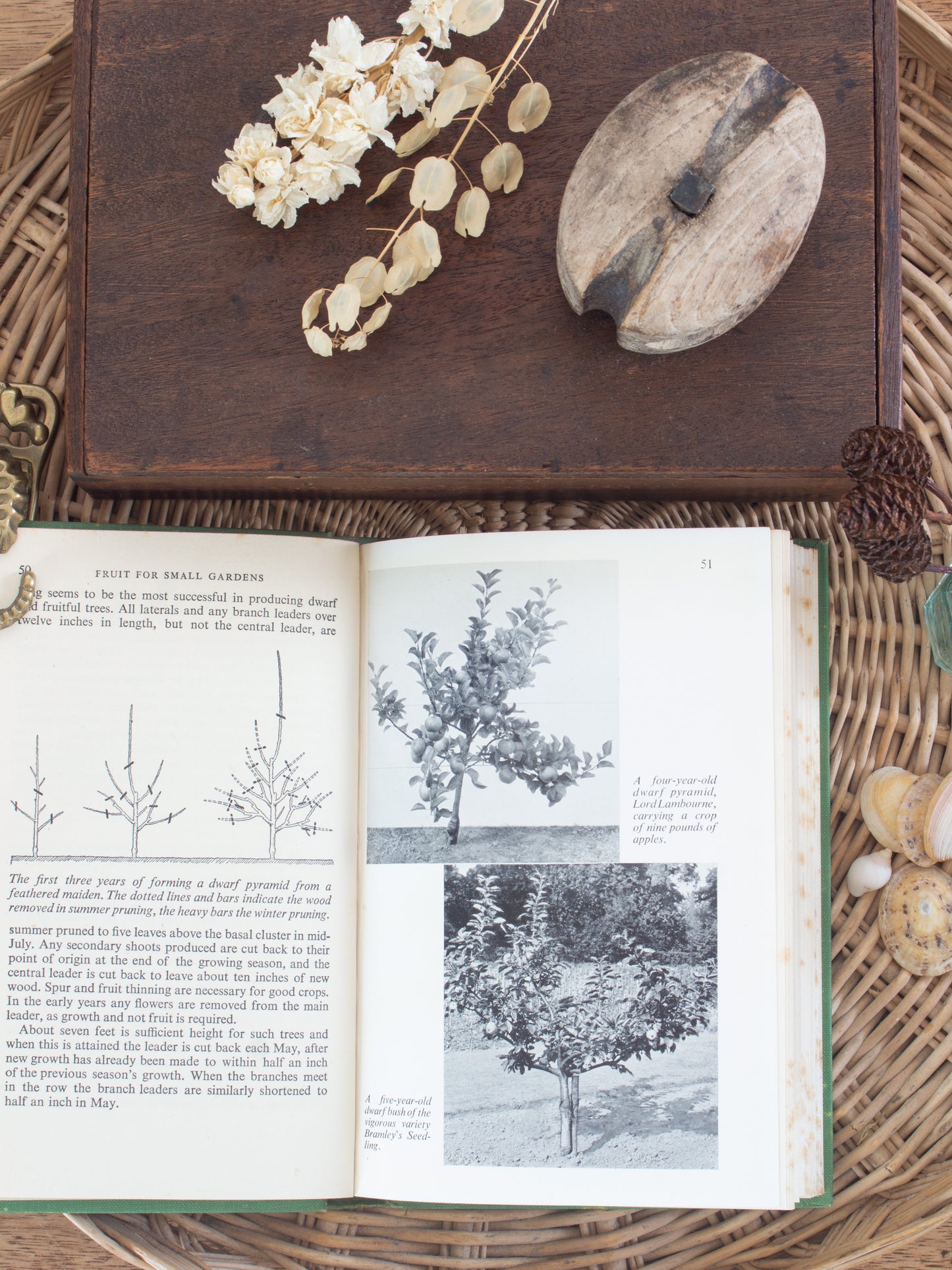 Vintage 1951 ‘Fruit for Small Gardens’ by D. S. Crowther