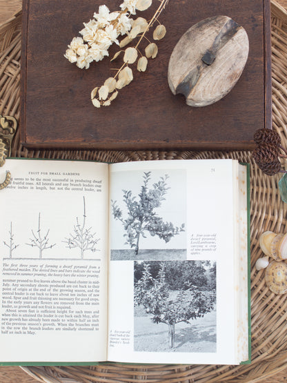 Vintage 1951 ‘Fruit for Small Gardens’ by D. S. Crowther