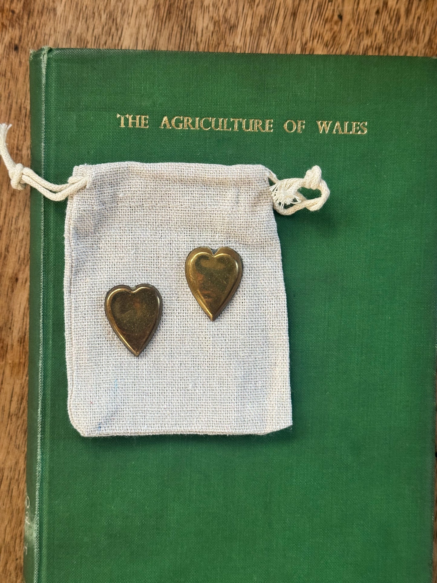 Antique Brass Heart Love Tokens (Pair)