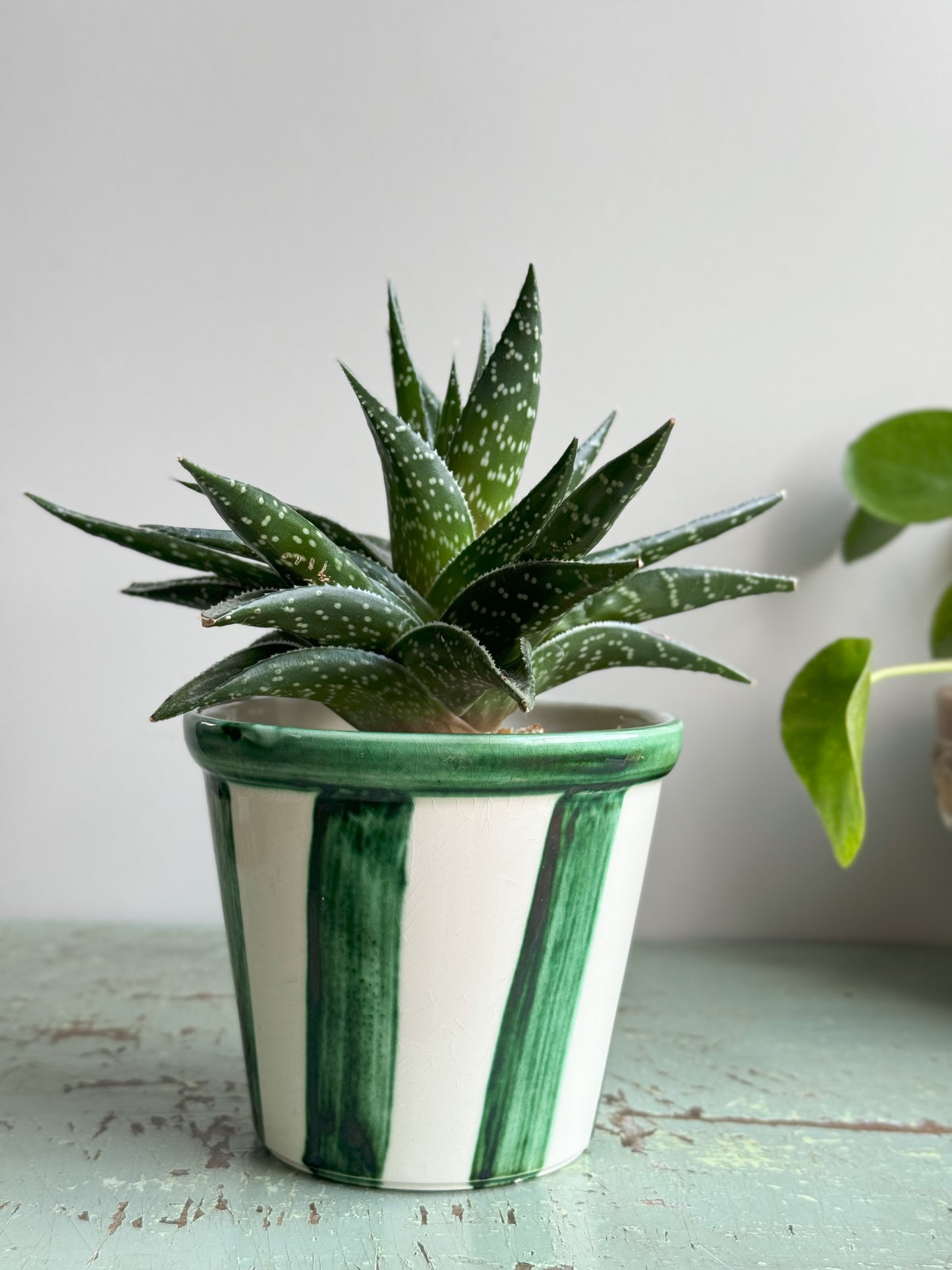 Vintage Green Glazed Striped Pot