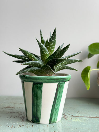 Vintage Green Glazed Striped Pot