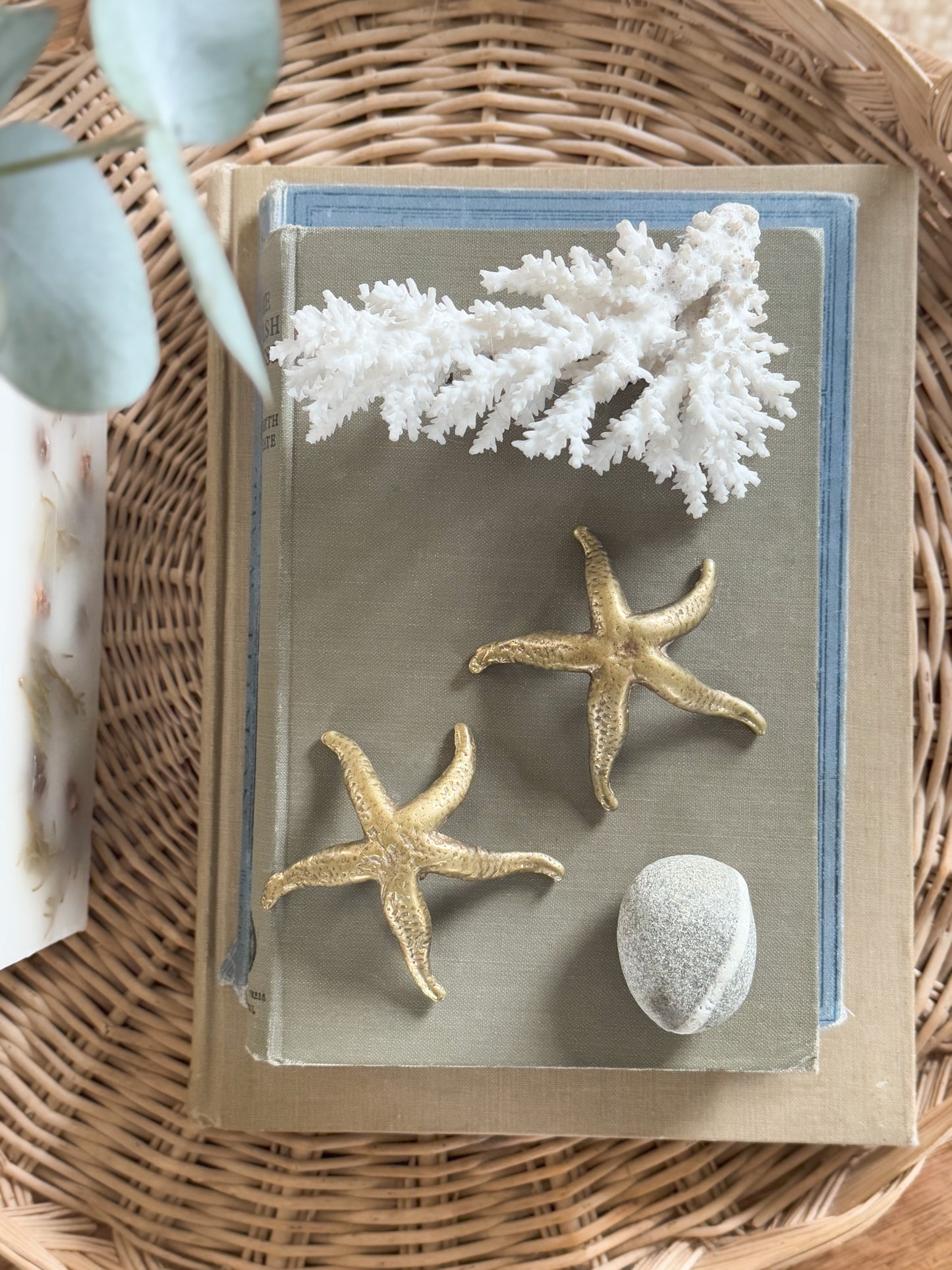 Rare Antique Edwardian Cast Brass Starfish Pair