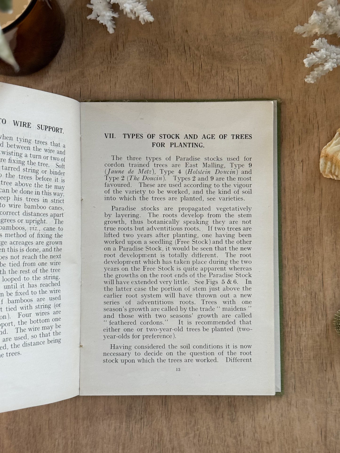 Cordon Culture of Apples, H. Patience, F.R.H.S. - 1940s