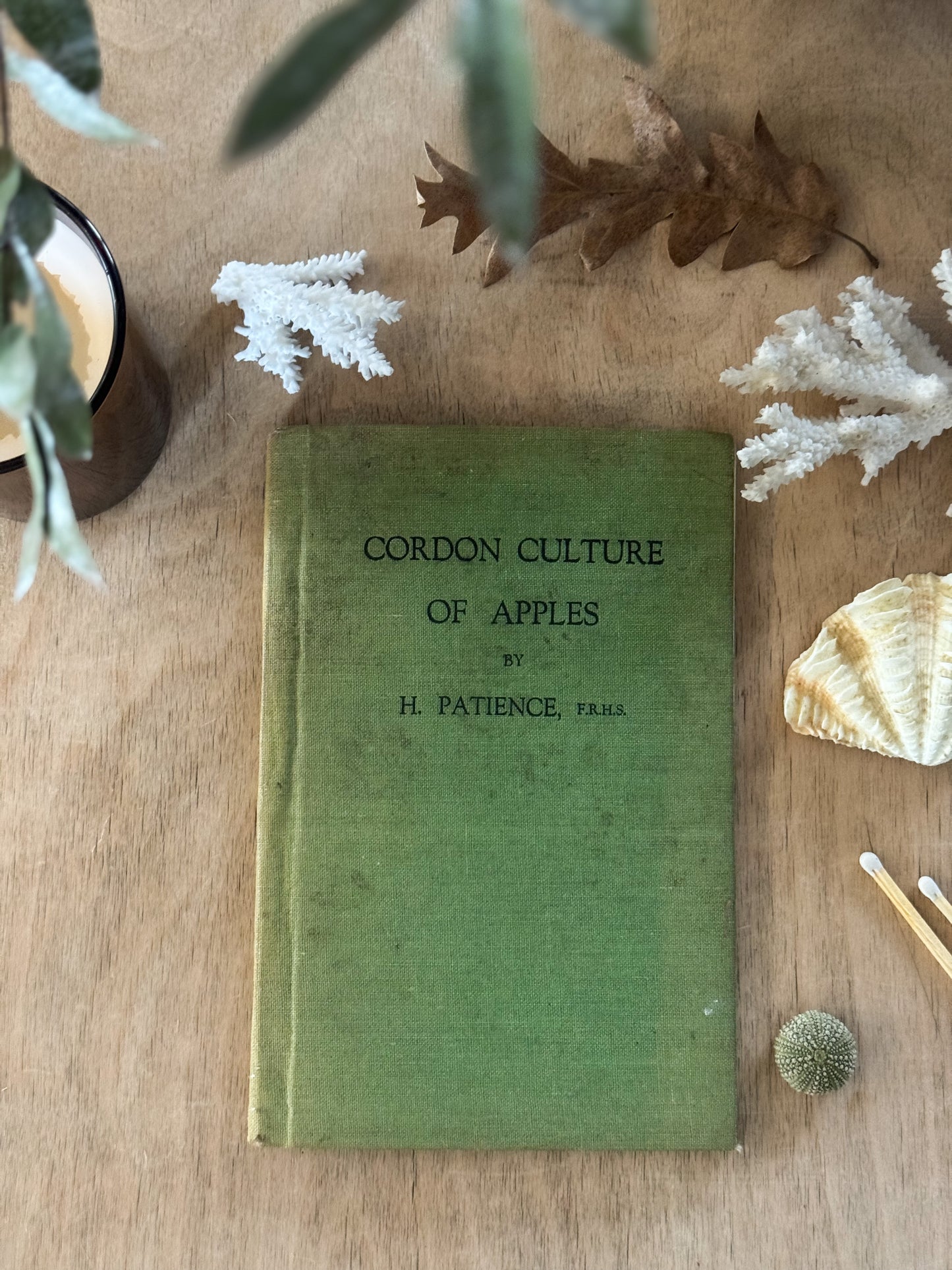 Cordon Culture of Apples, H. Patience, F.R.H.S. - 1940s