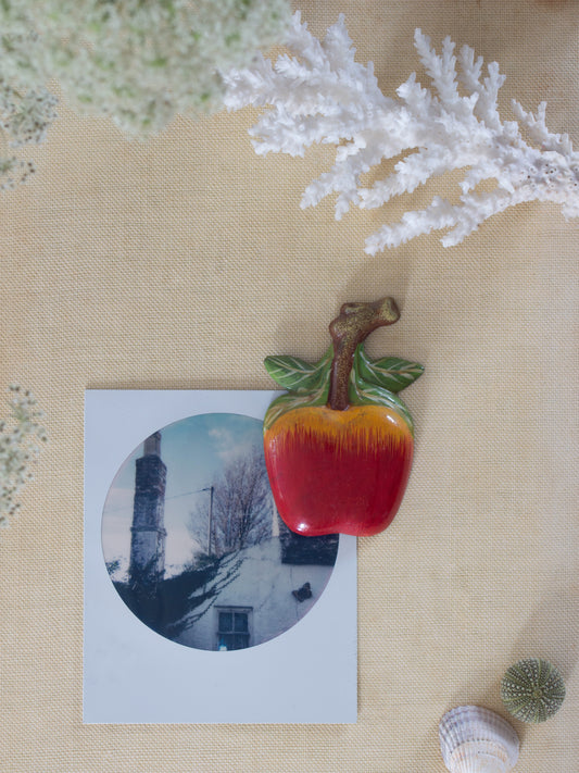 Vintage Hand-Painted Wooden Apple Fridge Magnet