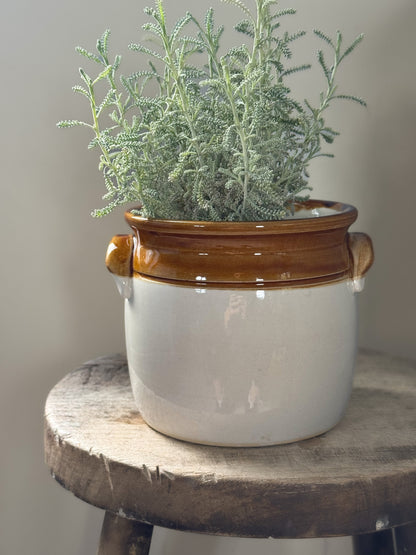 Vintage T. G. Green & Co. Two-Tone Handled Storage Pot