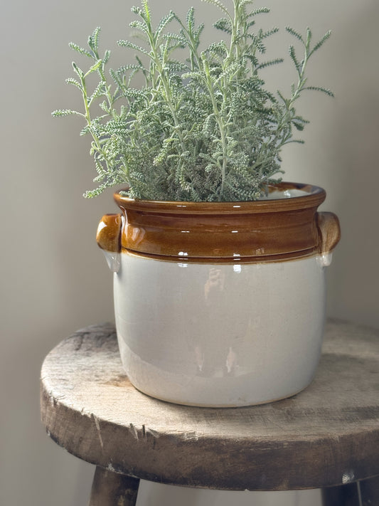Vintage T. G. Green & Co. Two-Tone Handled Storage Pot