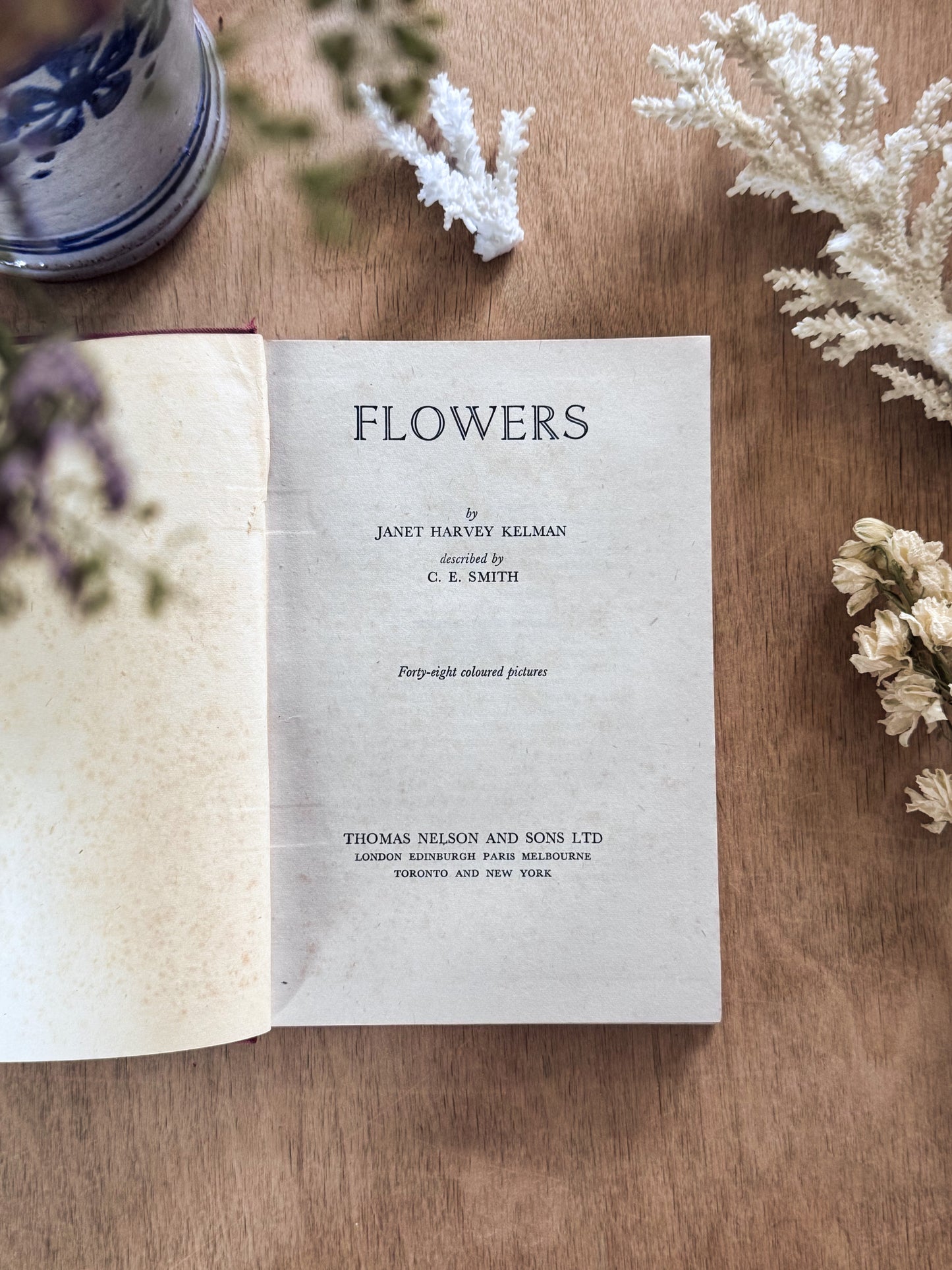 Flowers by Janet Harvey Kelman, The Shown Series (c. 1910s–1920s)