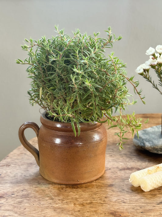 Antique French Confit Pot - Small Size