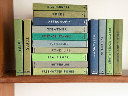 ‘Build Your Own’ Vintage Observer Pocket Book Bundle