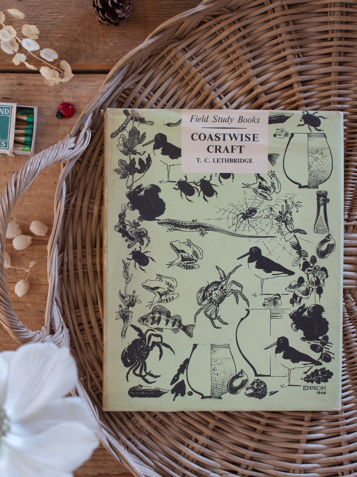 1952 First Edition Coastwise Craft by T. C. Lethbridge • Illustrated Maritime Field Study Book