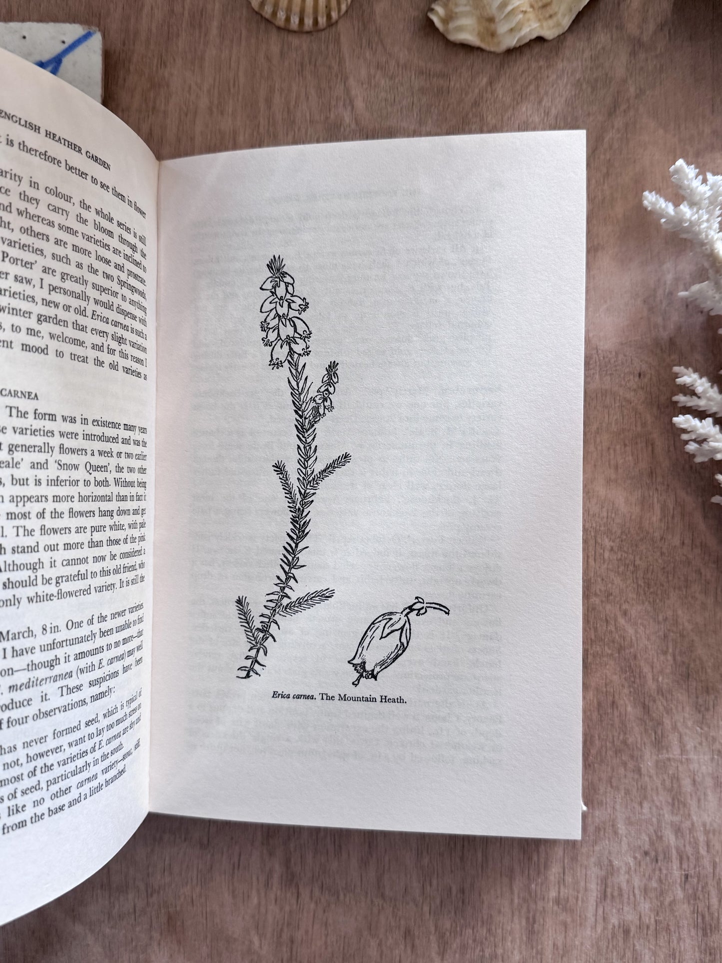 The English Heather Garden - D. Fyfe Maxwell & P. S. Patrick (1966, First Edition)