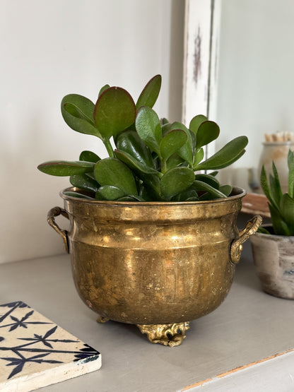 Vintage Indian Brass Cauldron Planter