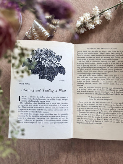 The Housewife Book of House Plants (1956)