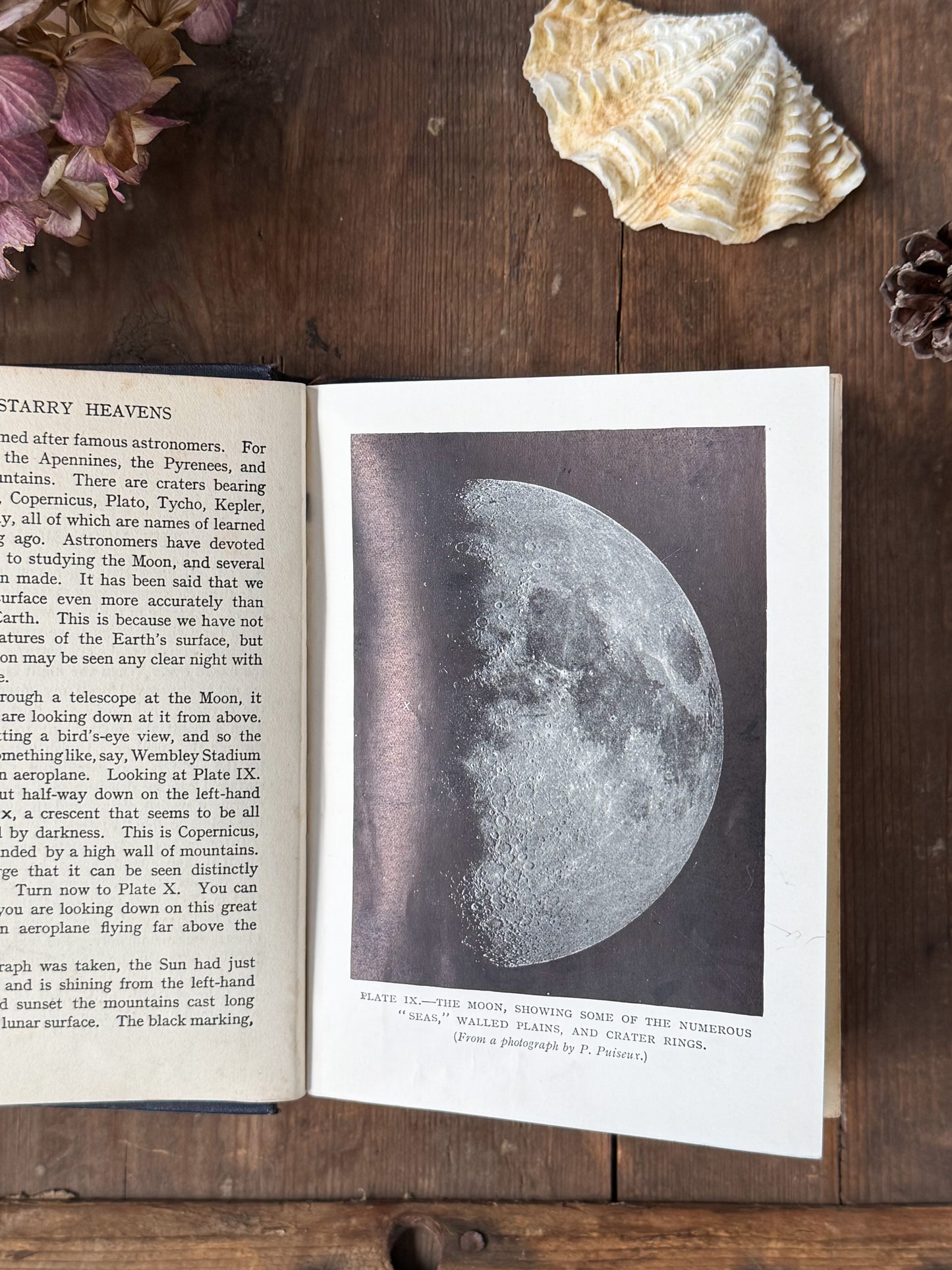 The Starry Heavens - Ellison Hawks (Early 20th Century Edition)