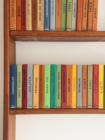 ‘Build Your Own’ Vintage Observer Pocket Book Bundle