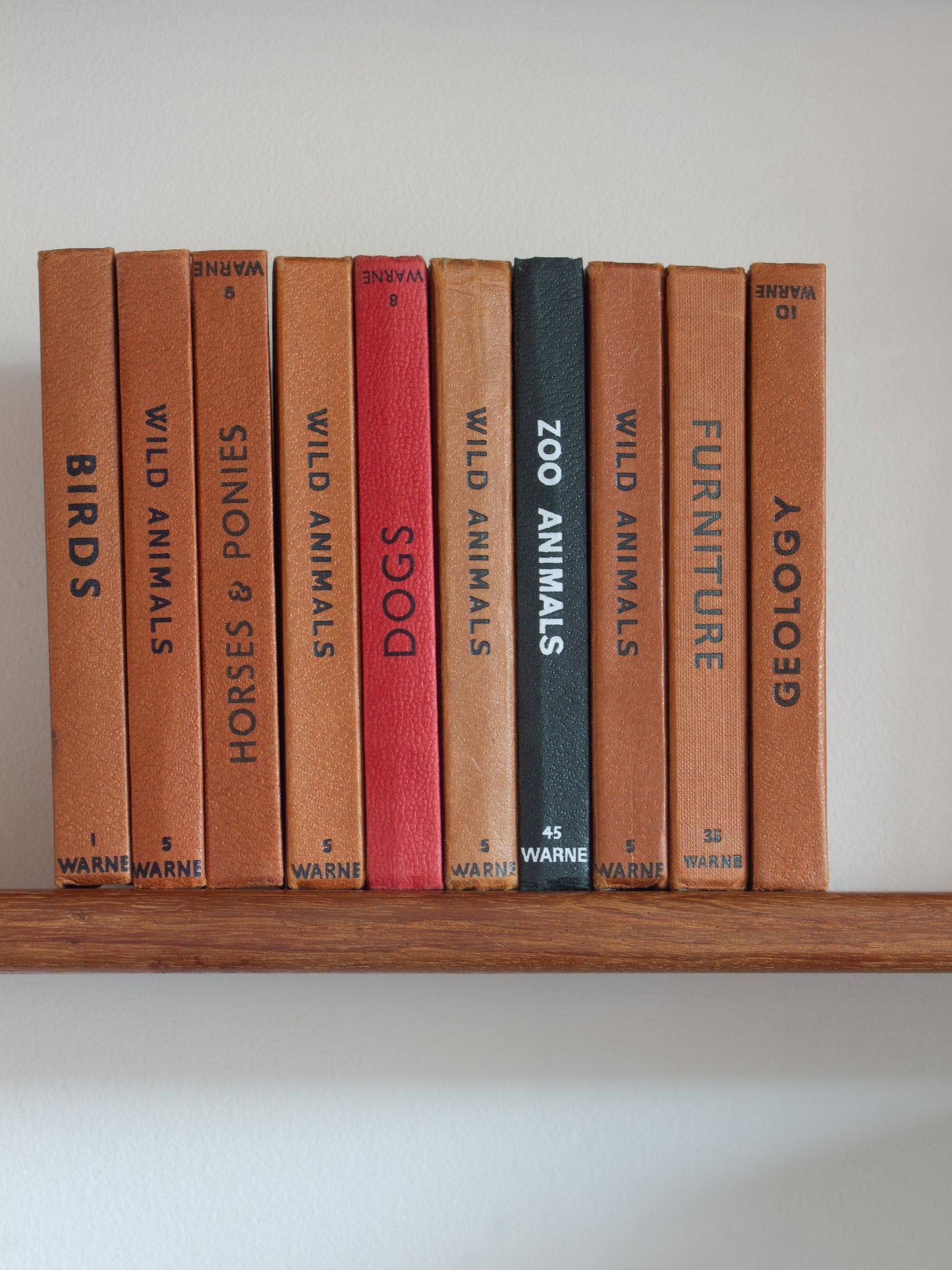 ‘Build Your Own’ Vintage Observer's Pocket Book Bundle