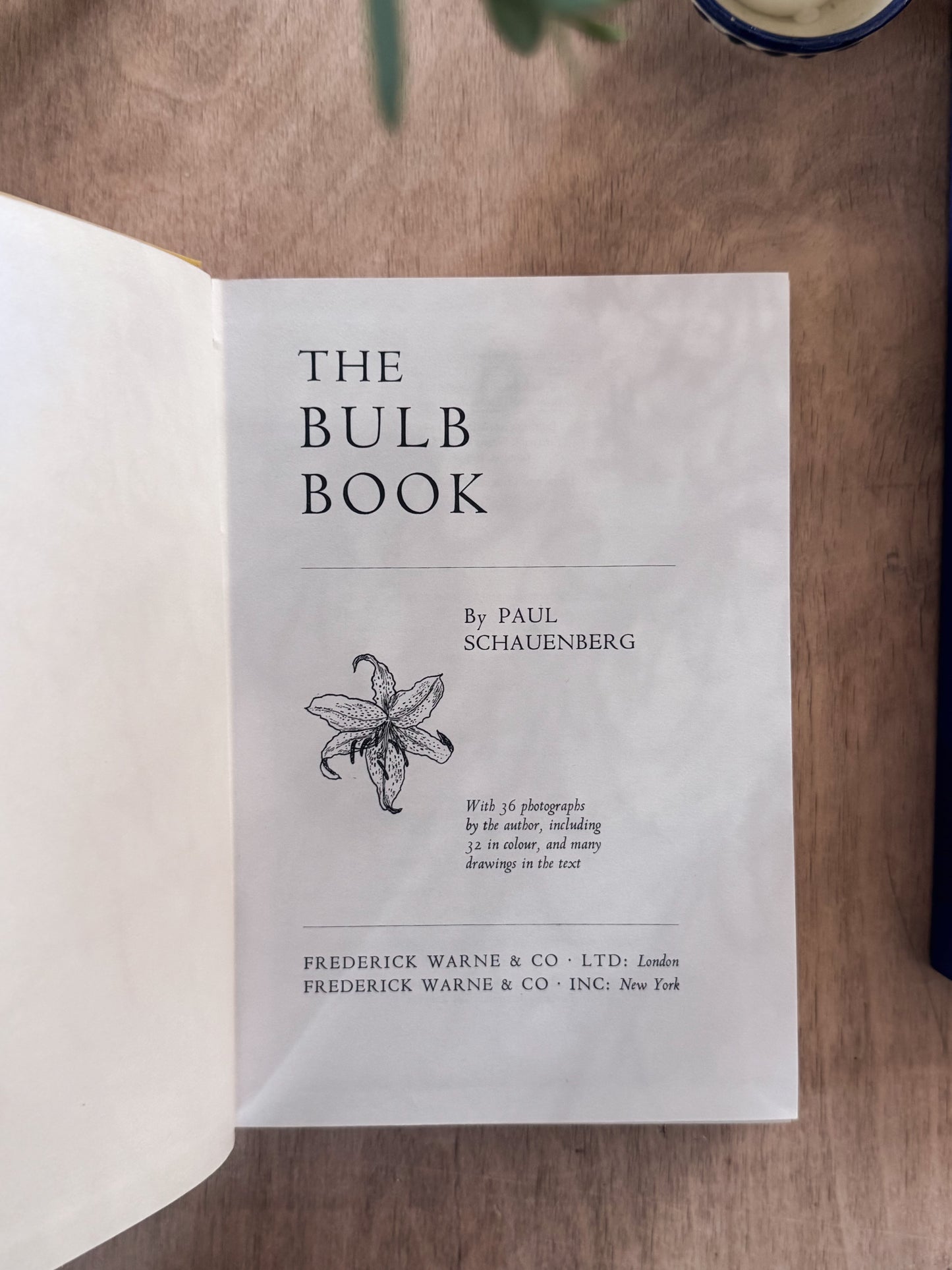 The Bulb Book, Paul Schauenberg, 1965