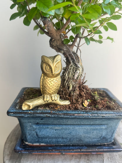 Vintage Solid Brass Owl Paperweight