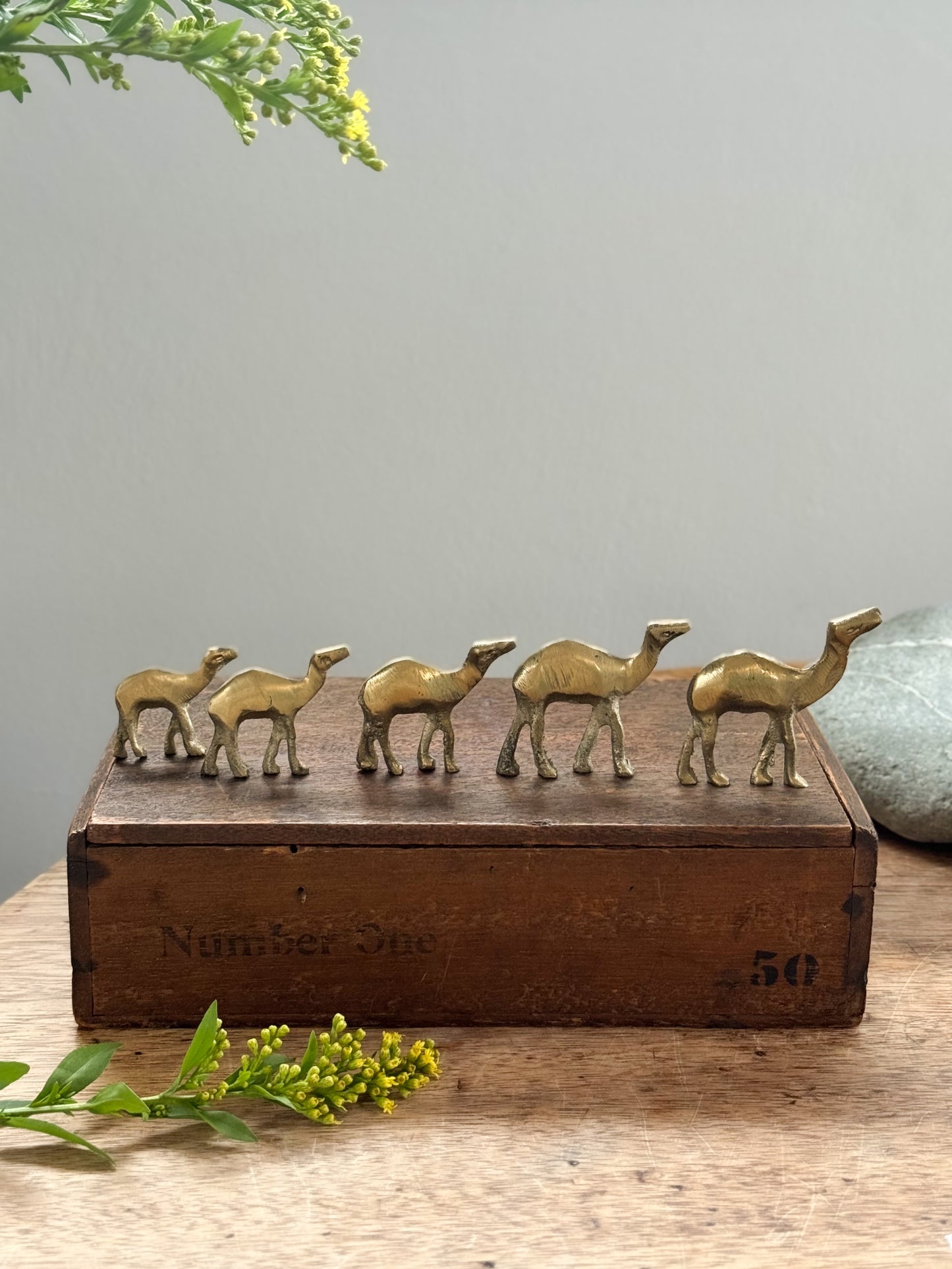 Vintage Midcentury Solid Brass Camels (Set of 5)