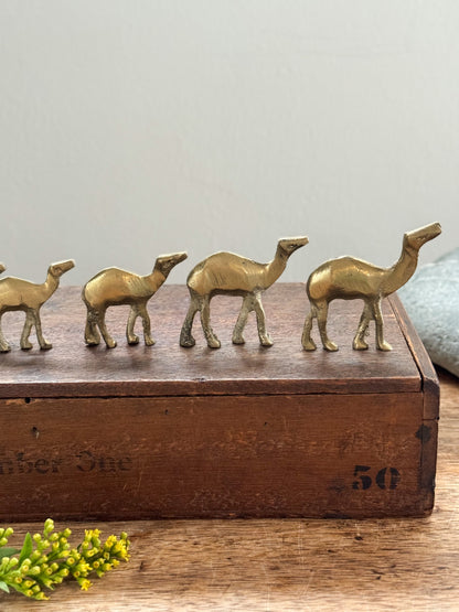 Vintage Midcentury Solid Brass Camels (Set of 5)