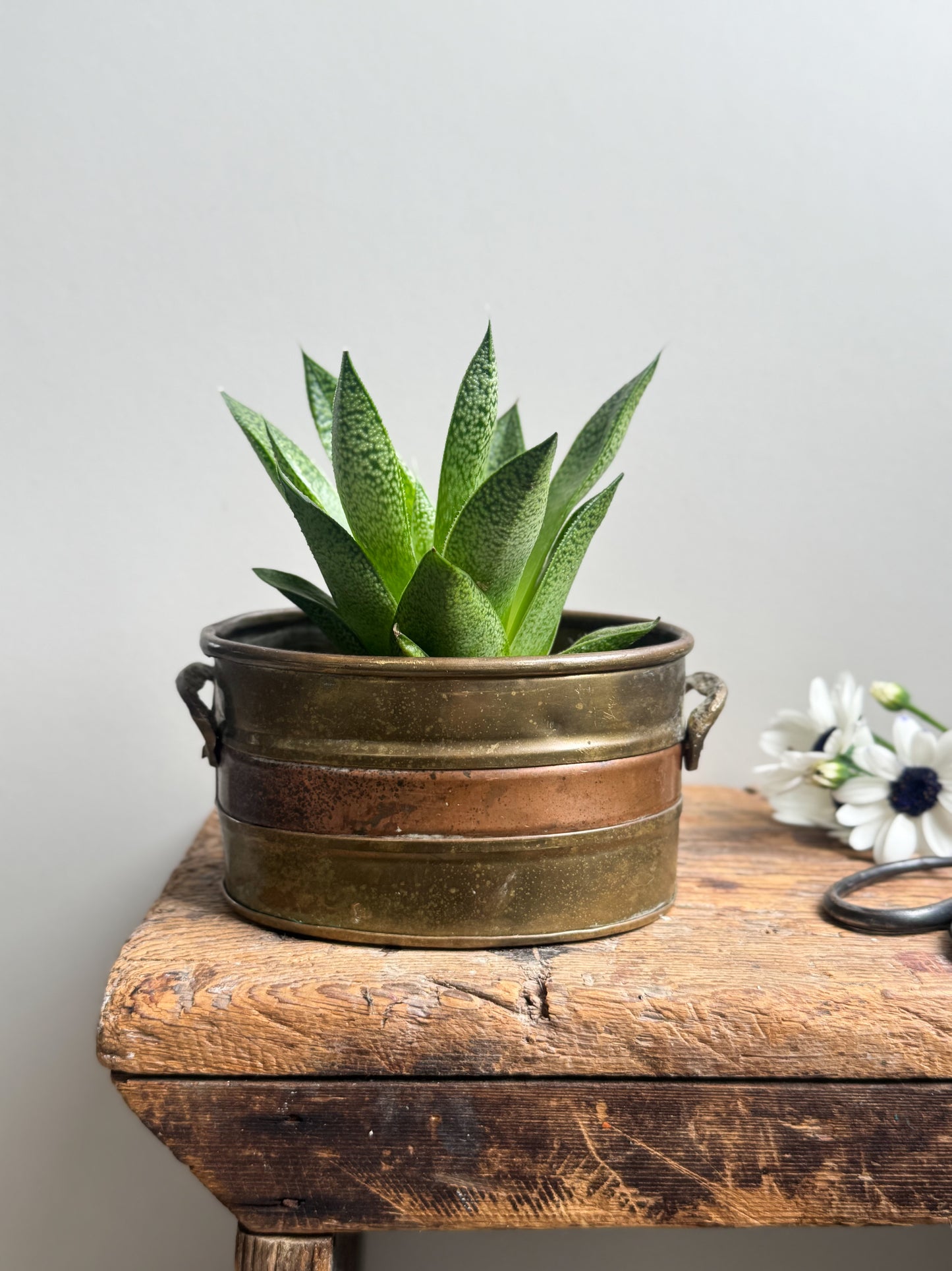 Vintage Oval Brass and Copper Planter with Handles