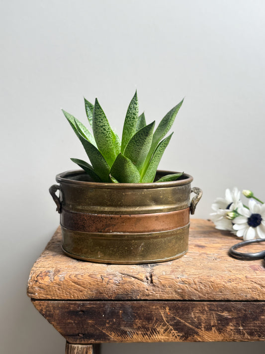 Vintage Oval Brass and Copper Planter with Handles