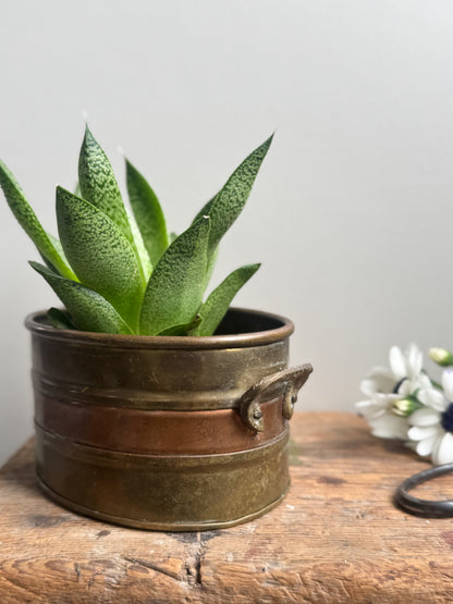 Vintage Oval Brass and Copper Planter with Handles