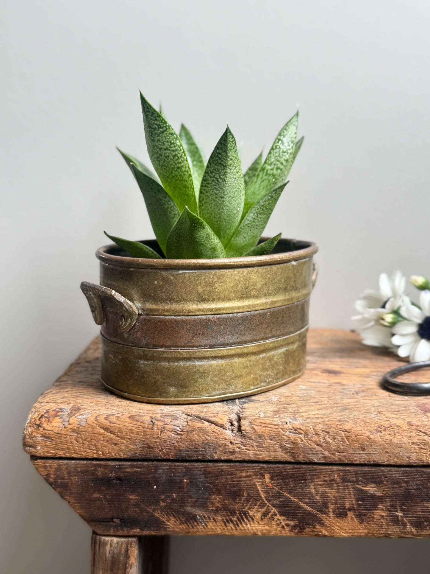 Vintage Oval Brass and Copper Planter with Handles